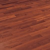 Brazilian Cherry Rio