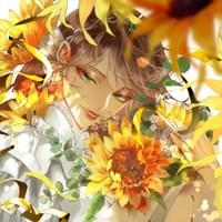 broken image