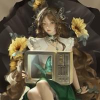 broken image