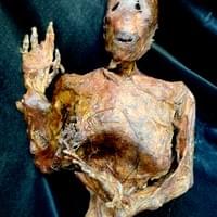 DESSICATED CORPSE 
