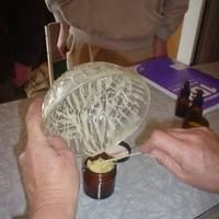 Karamea Knowledge Swap 2004