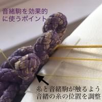 broken image