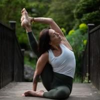Butterfly: A macro shot of a black butterfly.