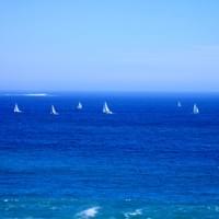 filitototo - día de regata