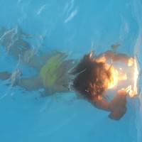 filitototo - día de piscina