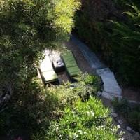 filitototo - vista jardin