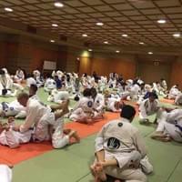 Rickson Gracie seminar