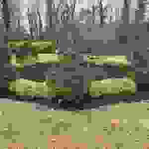 broken image