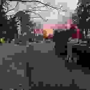 broken image