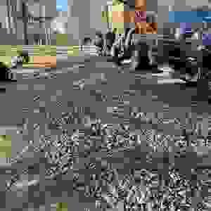 broken image