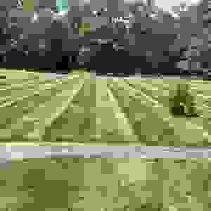 broken image