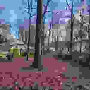 broken image