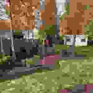 broken image