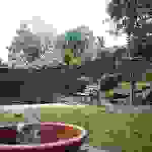 broken image