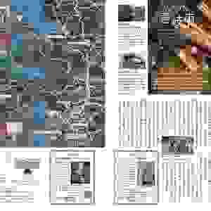 broken image