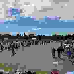 broken image