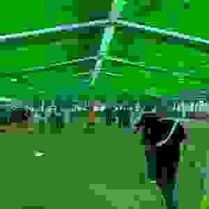 broken image