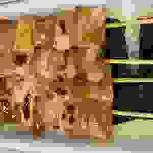 broken image
