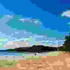 broken image