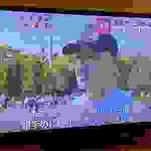 broken image