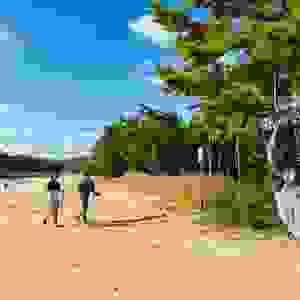 broken image