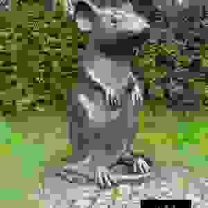 broken image