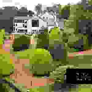 broken image