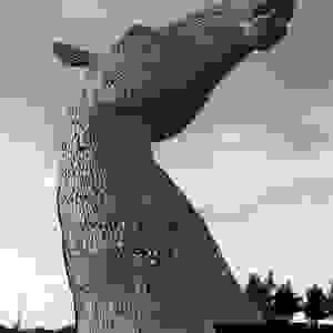 broken image