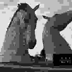 broken image