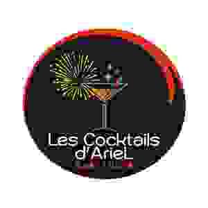 creation-site-internet-martinique-lescocktailsdariel