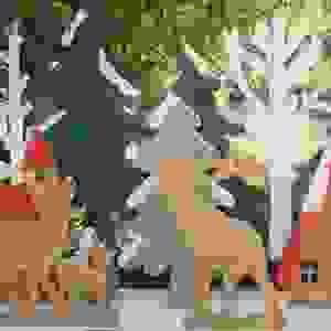 Section image