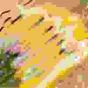 broken image