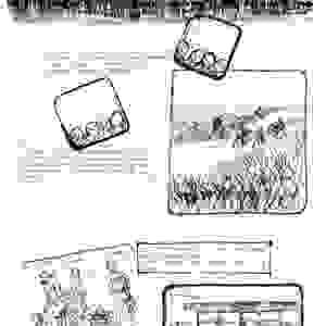 Section image