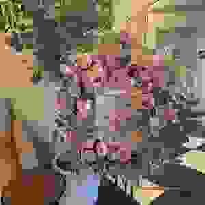 broken image