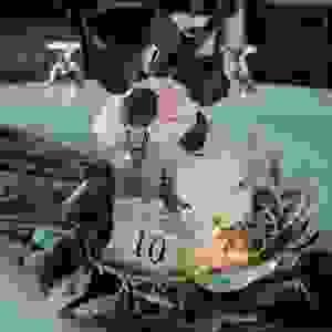 broken image