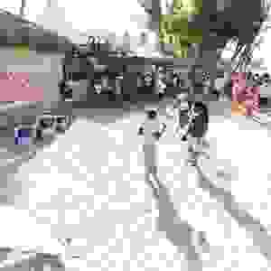 Section image