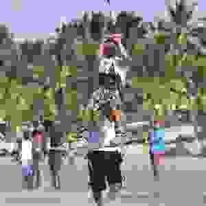Section image