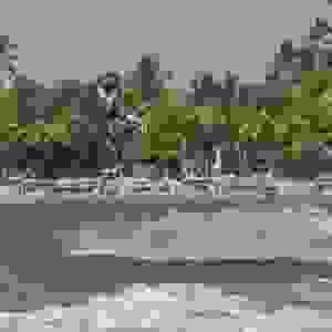 Section image