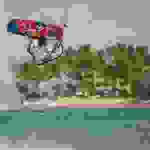 Section image
