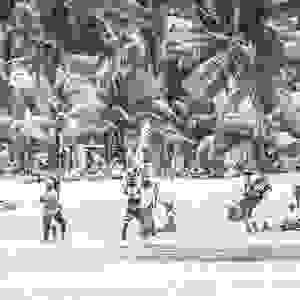 Section image