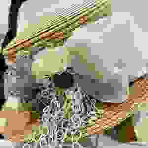 broken image