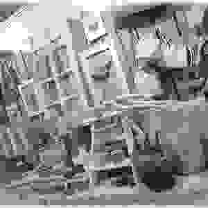 broken image