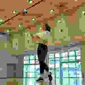 broken image