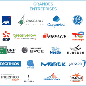 GRANDES ENTREPRISES