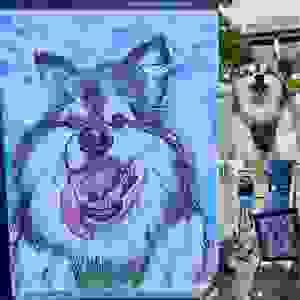 Section image