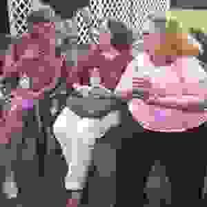 broken image