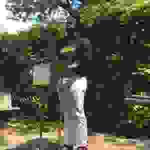 broken image