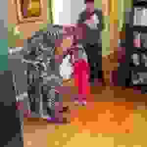 broken image