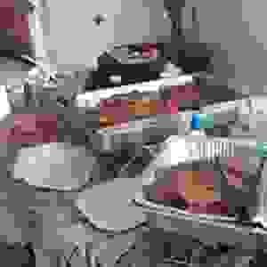 broken image