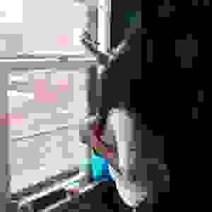 broken image